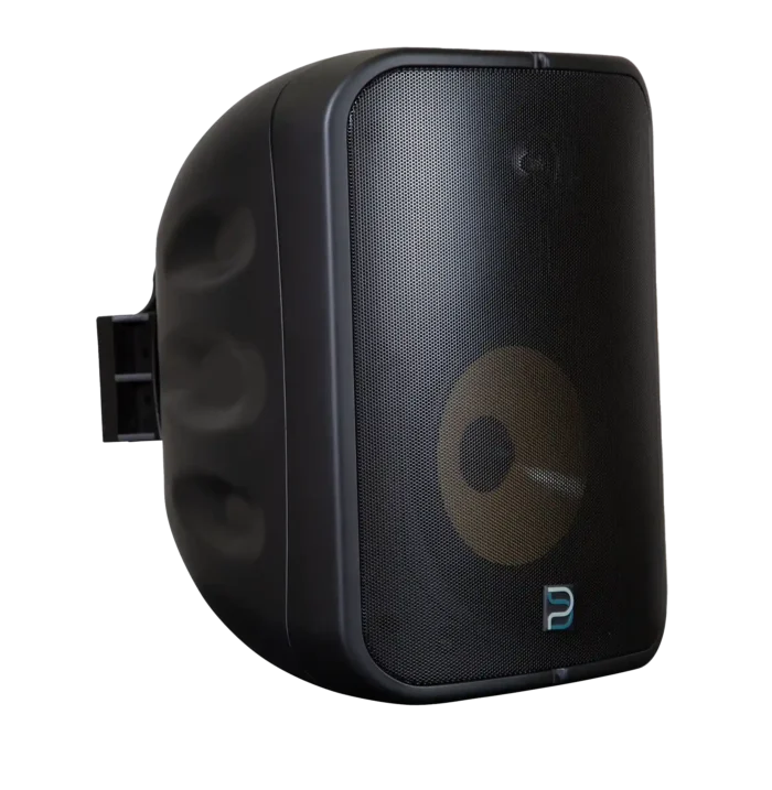 Bluesound Professional BSP1000 PoE+ Network Streaming Speaker for Commercial Installations