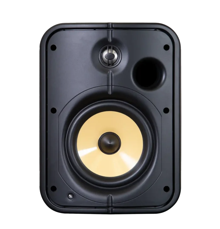 Bluesound Professional BSP1000 PoE+ Network Streaming Speaker for Commercial Installations