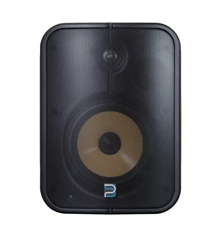 Bluesound Professional BSP1000 PoE+ Network Streaming Speaker for Commercial Installations