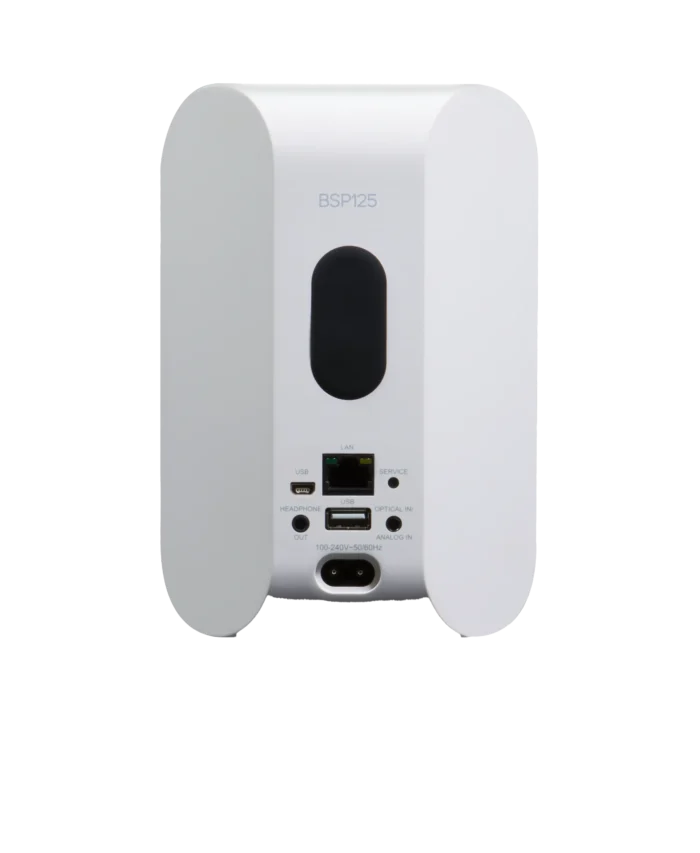 Bluesound Professional BSP125 – Compact Network Streaming Speaker for Commercial Installations